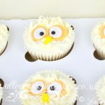 owl  cupcakes
