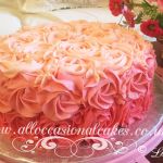 shaded pink buttercream cakes
